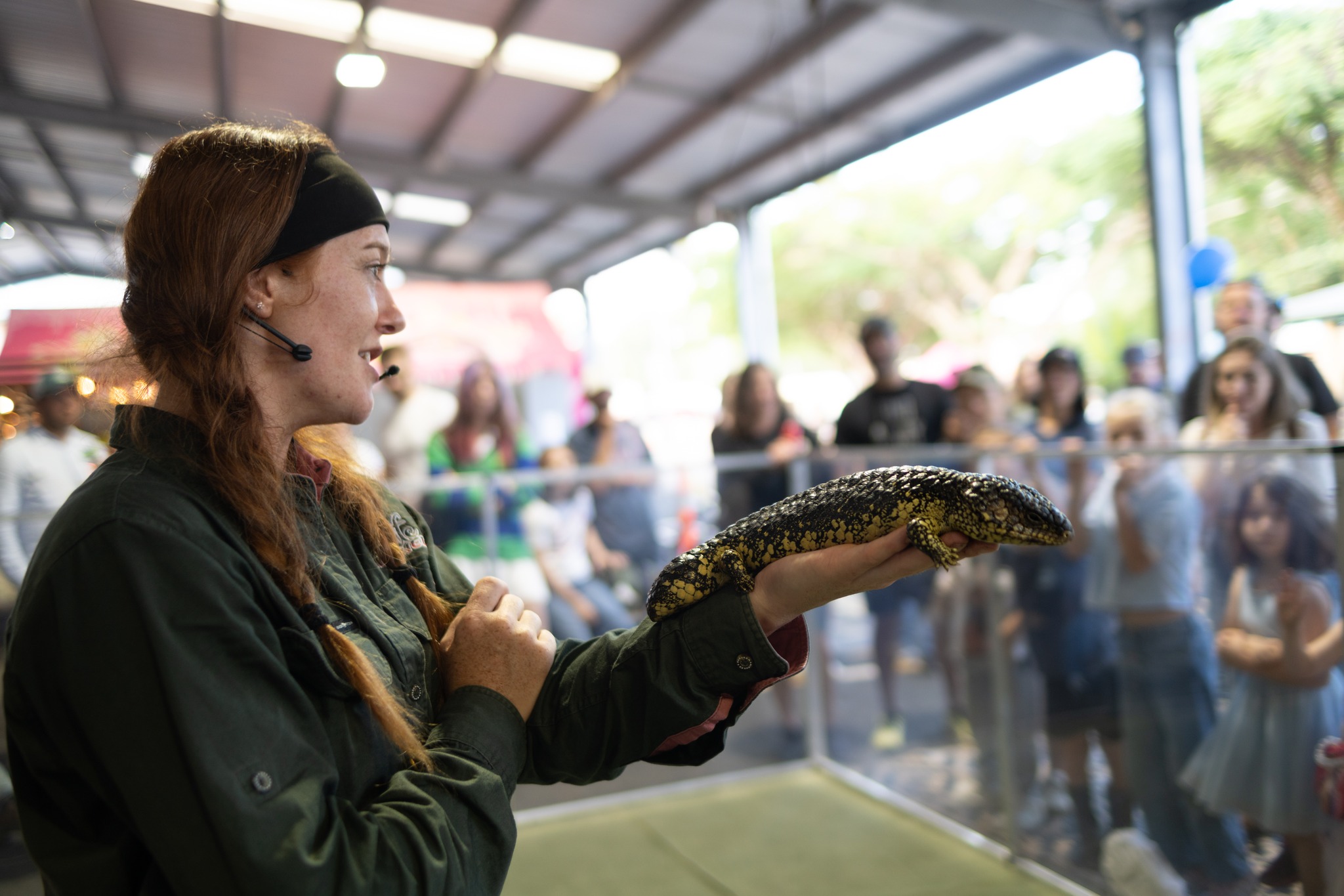 On World LIZARD Day, we have to give a BIG shout out to our favourite local reptile presenters and handlers - WILDLIFE UNLEASHED! These guys are not o…