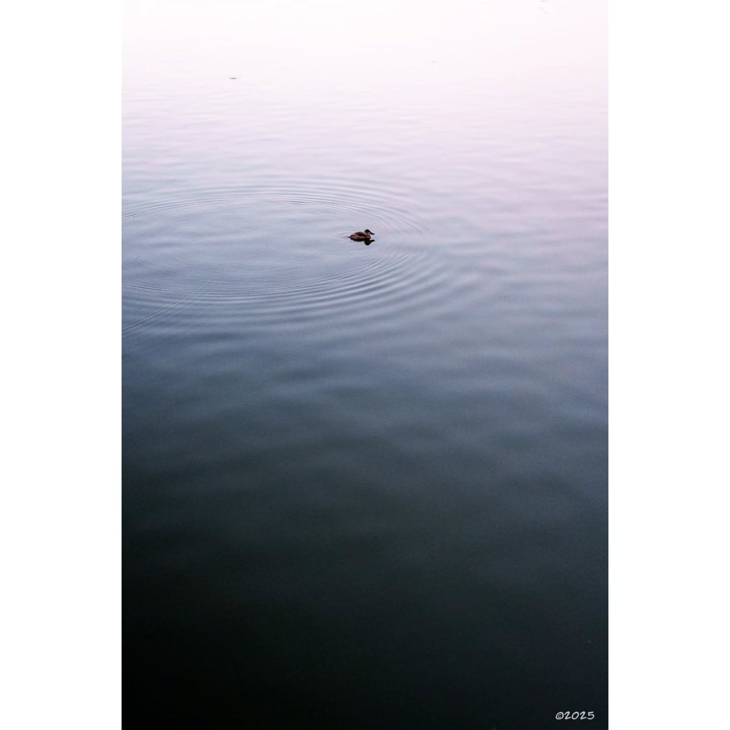 I saw in William Mason Park#latepost