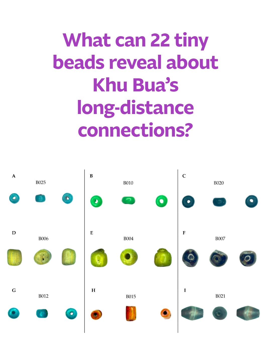 Twenty-two small beads can preserve the traces of a much larger world of movement and exchange.
A new archaeometric study examines beads excavated in 2023 at Khok Phithak, within the ancient city of Khu Bua in Ratchaburi, central Thailand. Khu Bua was an important urban centre associated with the Dvaravatī cultural sphere, enclosed by earthen ramparts and moats and situated within the Mae Klong river system.
The researchers analysed 21 glass beads and one chalcedony/agate bead, combining microscopic observations with VP-SEM-EDS, LA-ICP-MS and micro-Raman spectroscopy. Manufacturing traces—including axial colour streaks and elongated bubbles—indicate that most of the glass beads were made by drawing glass into tubes or canes before cutting them into individual beads.
Their chemistry indicates that nineteen beads belong to the m-Na-Al-1 glass subgroup, consistent with glassmaking traditions documented in South Asia, particularly the wider technological sphere of southern India and Sri Lanka. Together with their manufacturing technique, the authors associate these beads with the large-scale Indo-Pacific beadmaking tradition.
However, one blue bead, B014, is made from plant-ash soda–lime glass with a broad western Asian affinity—although the study cannot identify a specific production centre. Another remarkable bead, B007, appears to have been wound from recycled iron-smelting slag, suggesting an entirely different production history.
Rather than evidence for primary glassmaking at Khu Bua itself, the authors interpret the assemblage as reflecting an inland centre of consumption and possibly redistribution, connected through maritime and riverine networks to much wider systems of Indian Ocean exchange.
Reference
Risteka et al. 2026. “Production Technology and Provenance of Dvaravatī Glass Beads from Khu Bua, Central Thailand: An Archaeometric Study.” Heritage 9, 347.
10.3390/heritage9090347
#SoutheastAsianArchaeology #ThailandArchaeology #Dvaravati #KhuBua #ancienttrade Twenty-two small beads can preserve the traces of a much larger world of movement and exchange.
A new archaeometric study examines beads excavated in 2023 at Khok Phithak, within the ancient city of Khu Bua in Ratchaburi, central Thailand. Khu Bua was an important urban centre associated with the Dvaravatī cultural sphere, enclosed by earthen ramparts and moats and situated within the Mae Klong river system.
The researchers analysed 21 glass beads and one chalcedony/agate bead, combining microscopic observations with VP-SEM-EDS, LA-ICP-MS and micro-Raman spectroscopy. Manufacturing traces—including axial colour streaks and elongated bubbles—indicate that most of the glass beads were made by drawing glass into tubes or canes before cutting them into individual beads.
Their chemistry indicates that nineteen beads belong to the m-Na-Al-1 glass subgroup, consistent with glassmaking traditions documented in South Asia, particularly the wider technological sphere of southern India and Sri Lanka. Together with their manufacturing technique, the authors associate these beads with the large-scale Indo-Pacific beadmaking tradition.
However, one blue bead, B014, is made from plant-ash soda–lime glass with a broad western Asian affinity—although the study cannot identify a specific production centre. Another remarkable bead, B007, appears to have been wound from recycled iron-smelting slag, suggesting an entirely different production history.
Rather than evidence for primary glassmaking at Khu Bua itself, the authors interpret the assemblage as reflecting an inland centre of consumption and possibly redistribution, connected through maritime and riverine networks to much wider systems of Indian Ocean exchange.
Reference
Risteka et al. 2026. “Production Technology and Provenance of Dvaravatī Glass Beads from Khu Bua, Central Thailand: An Archaeometric Study.” Heritage 9, 347.
10.3390/heritage9090347
#SoutheastAsianArchaeology #ThailandArchaeology #Dvaravati #KhuBua #ancienttrade